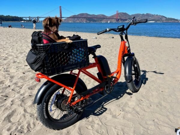 ADDMOTOR GAROOTAN M-81 Electric Bike for Adults. 48V 20AH Removable Battery UL2849 Certified. 750W Rear Gear Motor with 20x4 Fat Tire Ebike. Long-Tail Cargo Electric Bicycle (Olive) - Image 17
