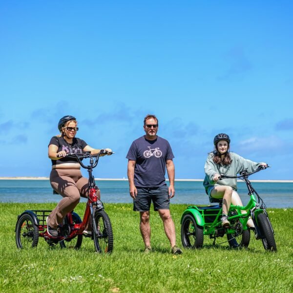 ADDMOTOR CITYTRI E-310 Folding Electric Trike for Adults.UL2849. 750W Rear Motor Electric Trike. 48V 20AH. 90MI. 3-Wheel Electric Bike for Commuting. Cargo 360lbs. Parking Brake.Differential Red - Image 23
