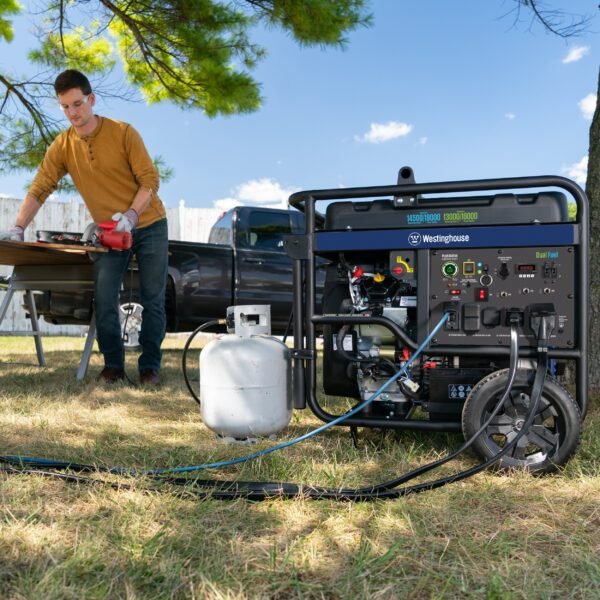 WGen14500DF Generator - Dual Fuel - Image 3